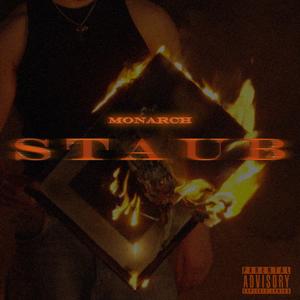 Staub