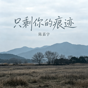 只剩你的痕迹