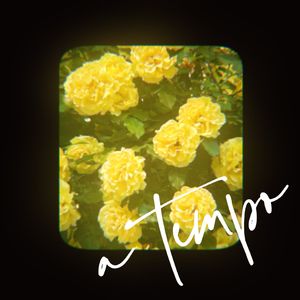 A Tempo