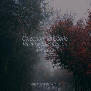 Tranquilidad Despertada