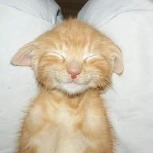 Can't Get You Out Of My Head (slowed)