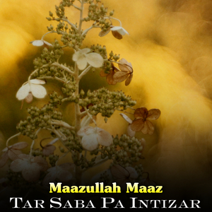 Da Tore Shpe Sahar Lare Ke Na Lari Rushtia