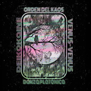 Danza Platonica