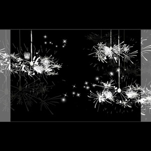 せんこう花火 (シングルカット)