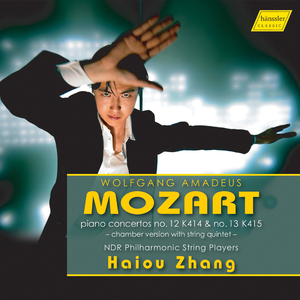 Piano Concerto No. 12 in A Major, K. 414 (Arr. I. Lachner for Piano & String Quintet): I. Allegro