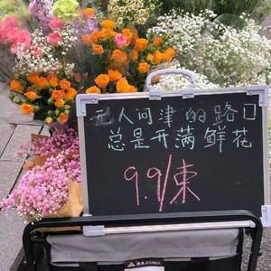 爱人错过（光遇弹琴版）