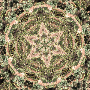 נשימה מודעת, מאיזון, במיקום נכון