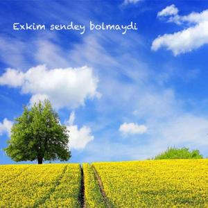 Exkim sendey bolmaydi