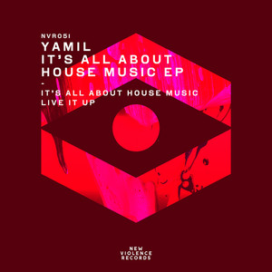 It's All About House Music (Original Mix)