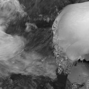 In the dead of winter, I wait for spring A