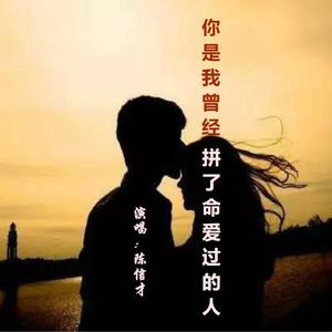 你是我曾经拼了命爱过的人