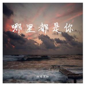 祁闻冥轩-爱丫爱丫(DJ版)（祁闻冥轩 remix）