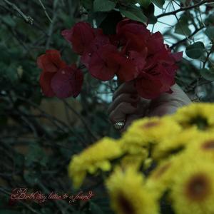 Birth day letter to a friend