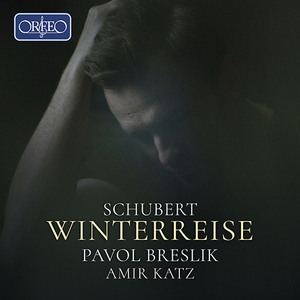 Winterreise, Op. 89, D. 911:No. 9. Irrlicht
