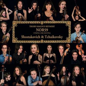 Serenade for String Orchestra in C Major, Op. 48: I. Pezzo in forma di sonatina. Andante non troppo – Allegro moderato