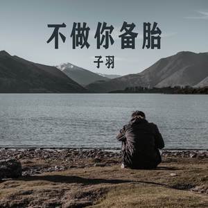 芬达还是美年达