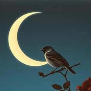 ömrümdekiyıllar kadar yar sevdim