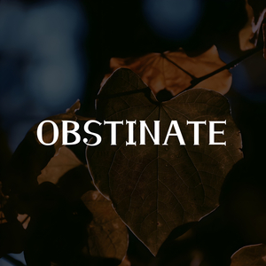 Obstinate