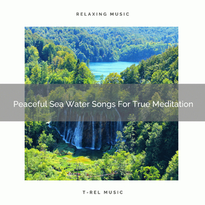 Peaceful Sea Water Songs For True Meditation