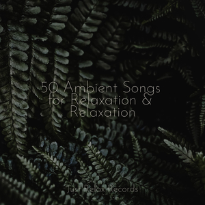 Mystic Harmonies in Flux