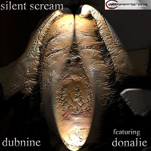 Silent Scream (Garage Mix)