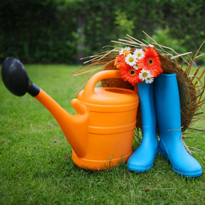 Собираем урожай