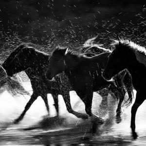 芒种 (小提琴版)