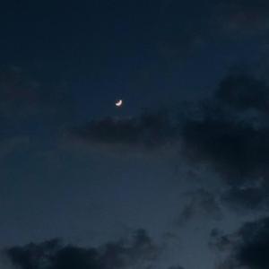 亲爱的你怎么不在我身边