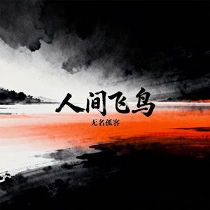 人间飞鸟