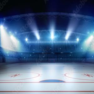 Hockey mascot groove