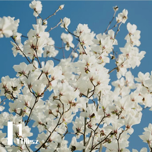 Perpetuum Mobile Symphony