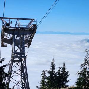 沉沦与遐想（speed up）