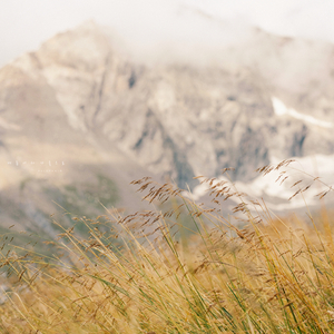 여름에서 가을으로