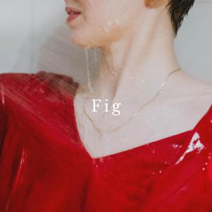 Fig