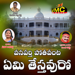 Vanaparthi Pothavanta Emi Testavuro