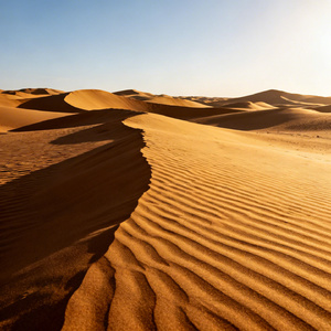 一杯苦酒敬年华