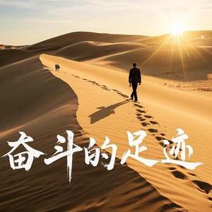 奋斗的足迹DJ版