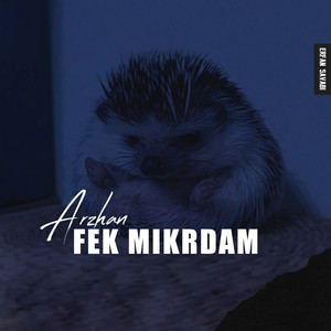 Fek Mikardam