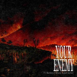 your enemy (feat. Natural Human Instinct)