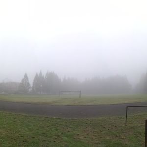 少林寺传奇笛曲轻吹