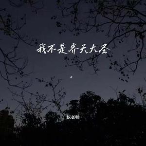 我不是齐天大圣