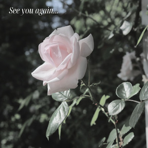 また会う日まで