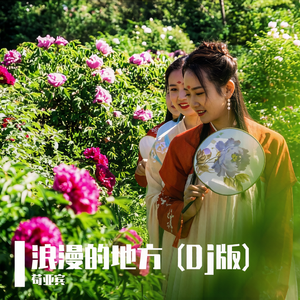 浪漫的地方 (Dj版) 伴奏