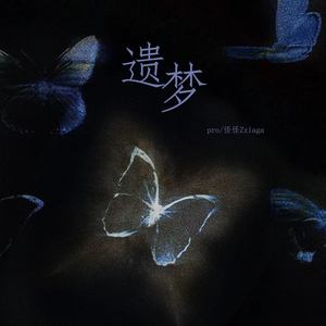 遗梦 (伴奏)