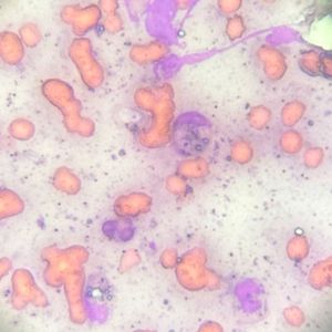 沃斯堡酒馆的即兴派对