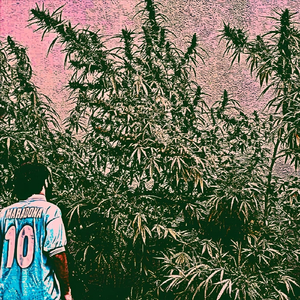 Vinsmoke
