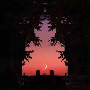 Do u wanna some drink?