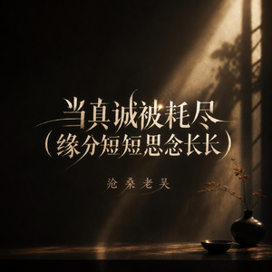 当真诚被耗尽(缘分短短思念长长)