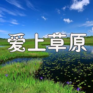 爱上草原