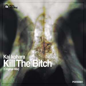 Kill The Bitch (Original Mix)